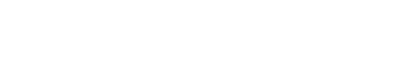 Logo DUALBR White